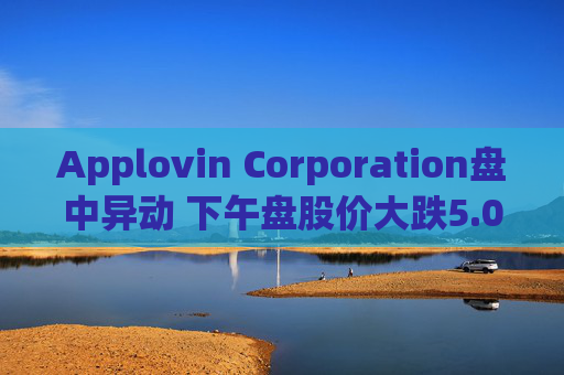 Applovin Corporation盘中异动 下午盘股价大跌5.08%报320.74美元