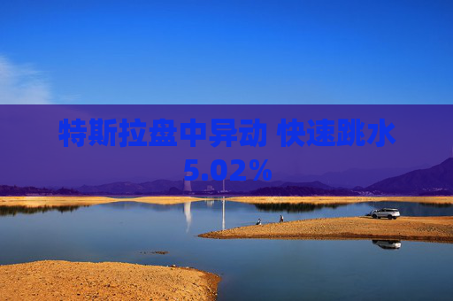 特斯拉盘中异动 快速跳水5.02%