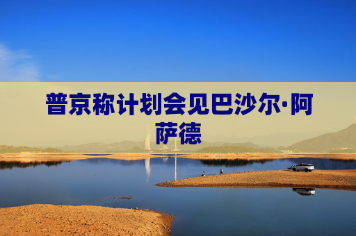 普京称计划会见巴沙尔·阿萨德