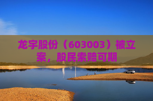 龙宇股份（603003）被立案，股民索赔可期