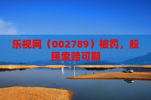 乐视网（002789）被罚，股民索赔可期