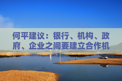 何平建议：银行、机构、政府、企业之间要建立合作机制，降低信息不对称