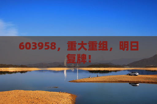 603958，重大重组，明日复牌！