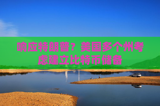 响应特朗普？美国多个州考虑建立比特币储备