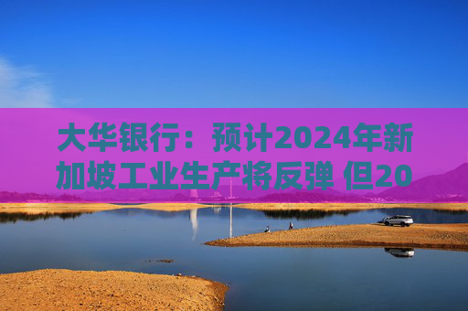 大华银行：预计2024年新加坡工业生产将反弹 但2025年前景仍不明朗