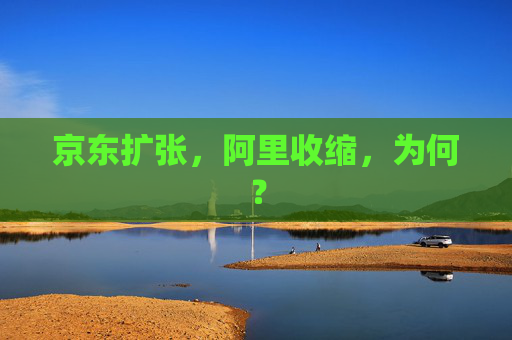 京东扩张，阿里收缩，为何？