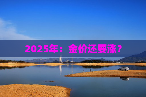 2025年：金价还要涨？