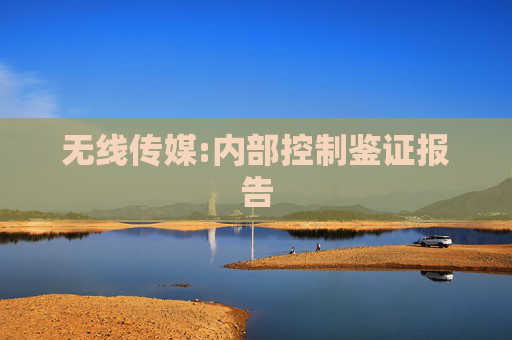 无线传媒:内部控制鉴证报告