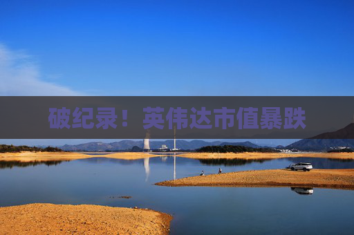 破纪录！英伟达市值暴跌