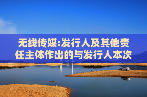 无线传媒:发行人及其他责任主体作出的与发行人本次发行上市相关的其他承诺事项