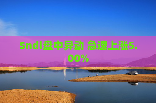 Sndl盘中异动 急速上涨5.00%