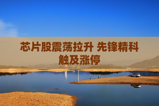 芯片股震荡拉升 先锋精科触及涨停