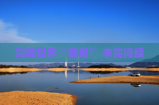 完美世界“瘦身” 未完待续