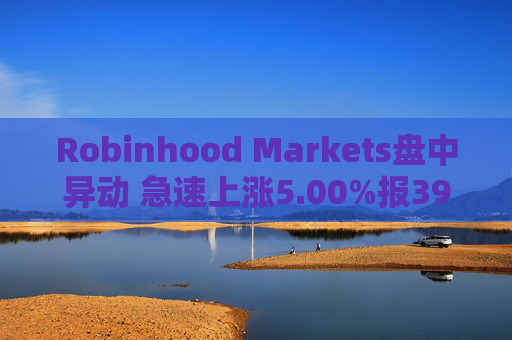 Robinhood Markets盘中异动 急速上涨5.00%报39.38美元