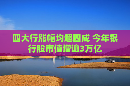 四大行涨幅均超四成 今年银行股市值增逾3万亿