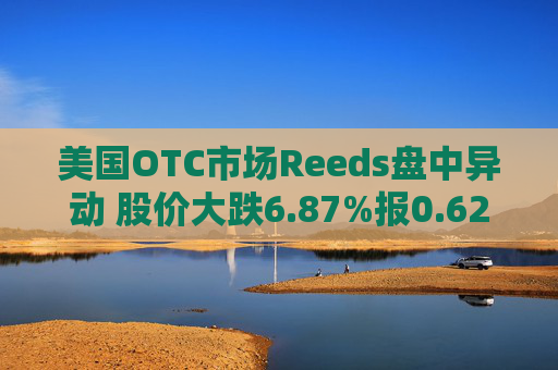 美国OTC市场Reeds盘中异动 股价大跌6.87%报0.629美元