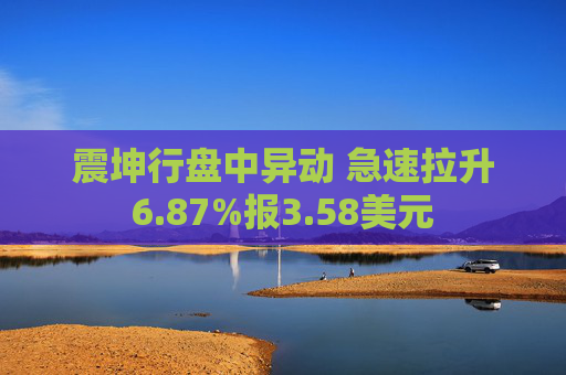 震坤行盘中异动 急速拉升6.87%报3.58美元