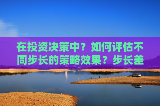 在投资决策中？如何评估不同步长的策略效果？步长差异对投资结果有何具体影响？