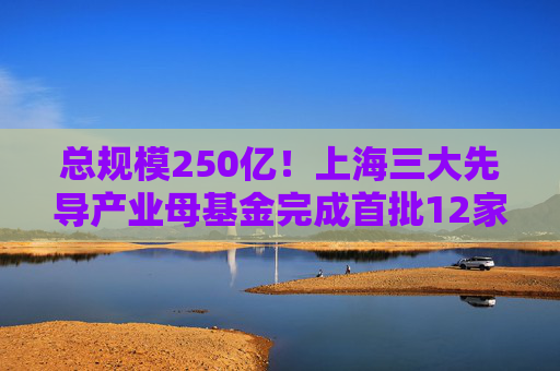 总规模250亿！上海三大先导产业母基金完成首批12家生态合作基金签约