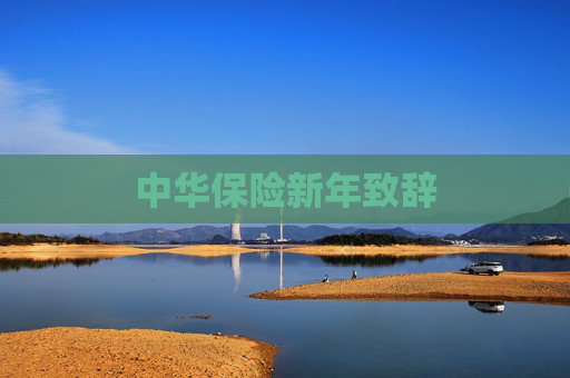 中华保险新年致辞