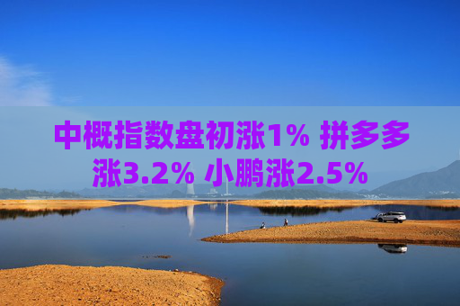 中概指数盘初涨1% 拼多多涨3.2% 小鹏涨2.5%