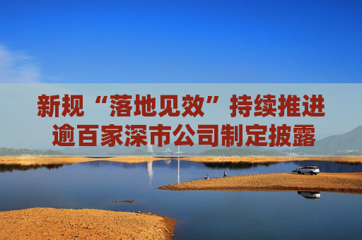 新规“落地见效”持续推进 逾百家深市公司制定披露市值管理制度