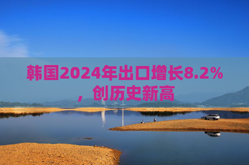 韩国2024年出口增长8.2%，创历史新高