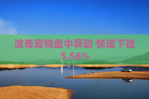 波奇宠物盘中异动 快速下挫5.56%