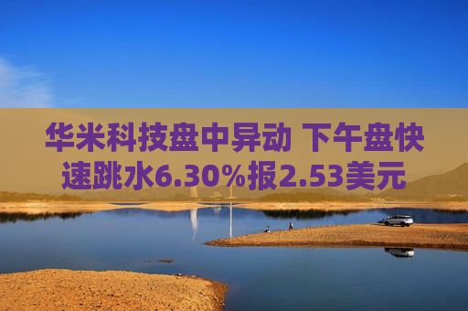 华米科技盘中异动 下午盘快速跳水6.30%报2.53美元