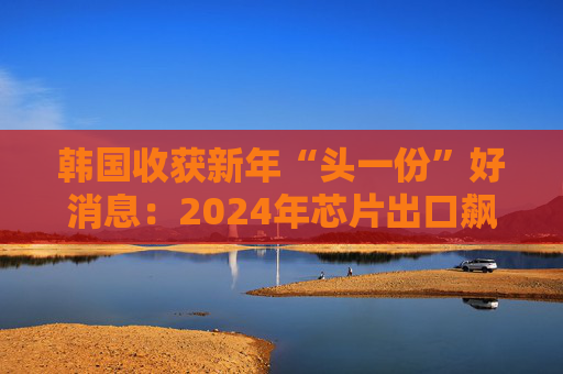 韩国收获新年“头一份”好消息：2024年芯片出口飙升43.9%创新高