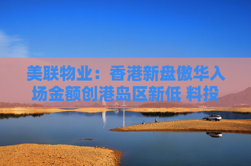 美联物业：香港新盘傲华入场金额创港岛区新低 料投资客比例约四成
