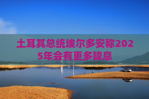 土耳其总统埃尔多安称2025年会有更多降息