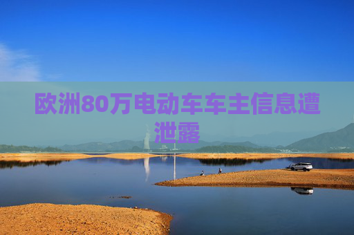 欧洲80万电动车车主信息遭泄露