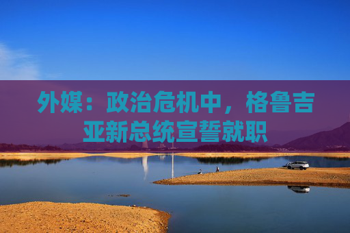 外媒：政治危机中，格鲁吉亚新总统宣誓就职