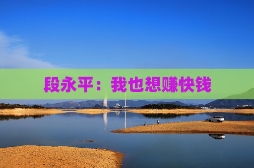 段永平：我也想赚快钱