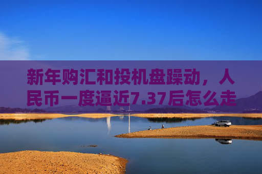 新年购汇和投机盘躁动，人民币一度逼近7.37后怎么走？