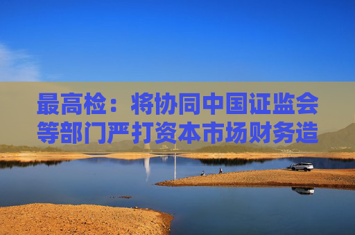 最高检：将协同中国证监会等部门严打资本市场财务造假各类犯罪