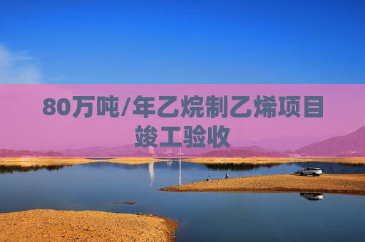 80万吨/年乙烷制乙烯项目竣工验收