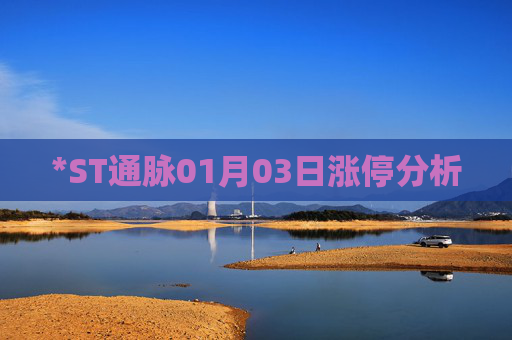 *ST通脉01月03日涨停分析