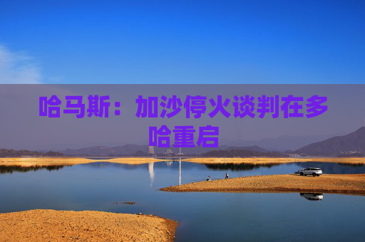 哈马斯：加沙停火谈判在多哈重启