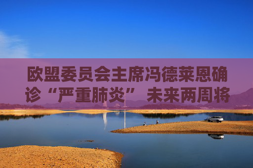 欧盟委员会主席冯德莱恩确诊“严重肺炎” 未来两周将缺席公共活动