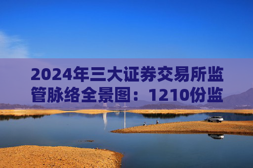 2024年三大证券交易所监管脉络全景图：1210份监管措施全维度守护资本市场平稳运行