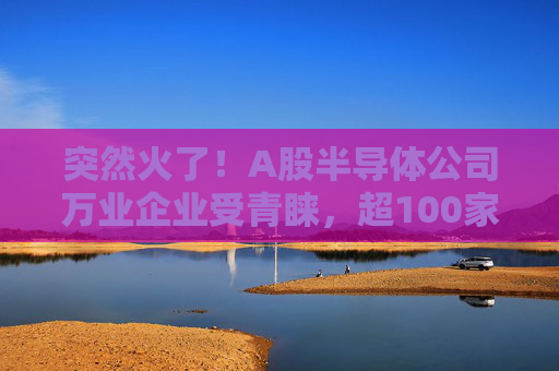 突然火了！A股半导体公司万业企业受青睐，超100家机构现身调研！发生了什么？