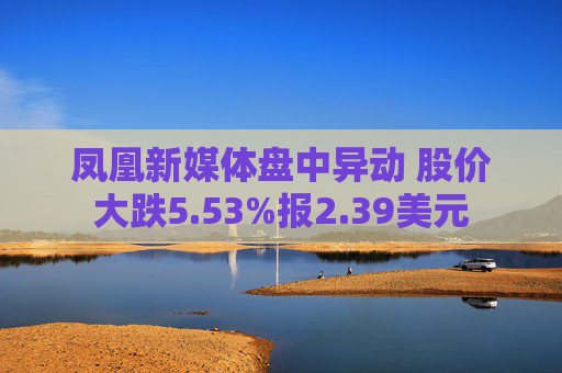 凤凰新媒体盘中异动 股价大跌5.53%报2.39美元