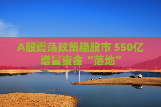 A股震荡政策稳股市 550亿增量资金“落地”
