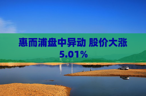 惠而浦盘中异动 股价大涨5.01%