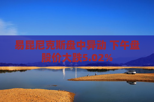易昆尼克斯盘中异动 下午盘股价大跌5.02%