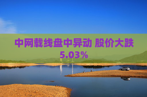 中网载线盘中异动 股价大跌5.03%