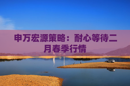 申万宏源策略：耐心等待二月春季行情