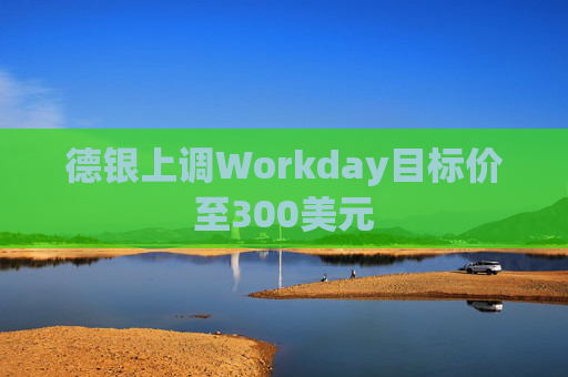 德银上调Workday目标价至300美元